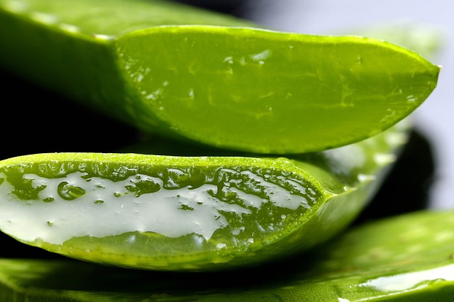 Aloe vera en naturopathie